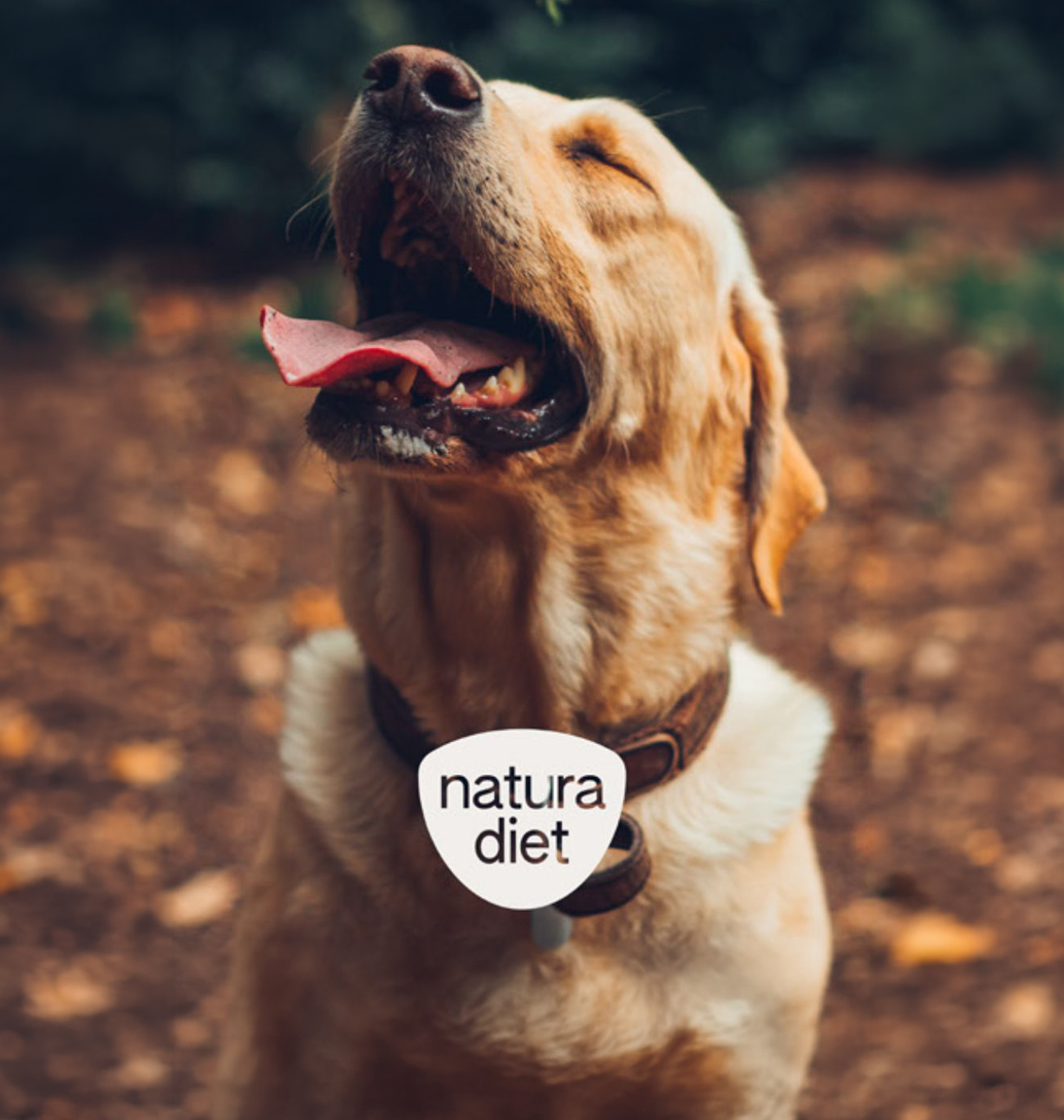 NaturaDiet. Nueva identidad de marca.