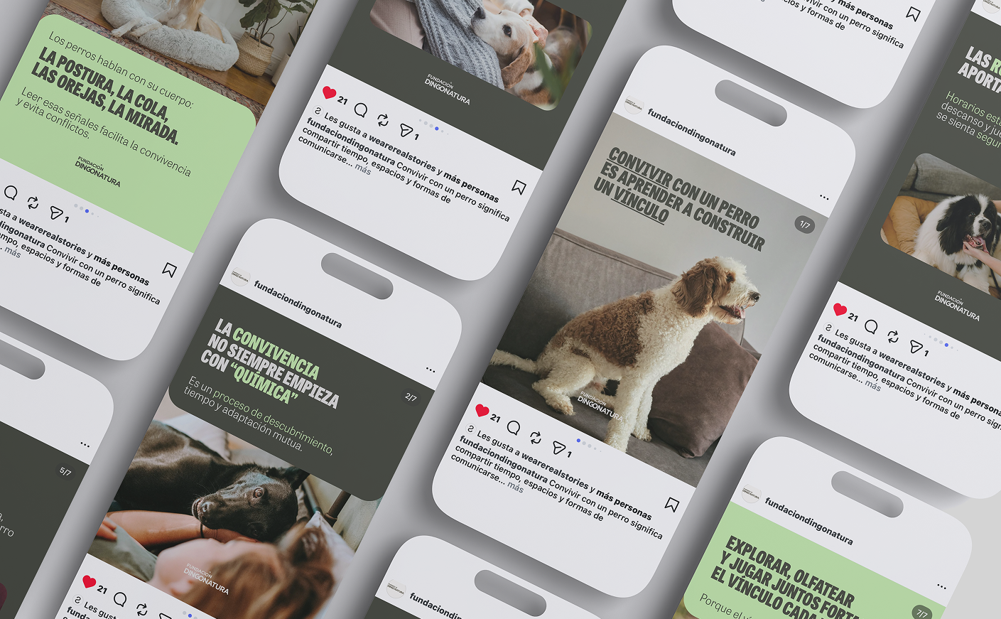 RealStories project