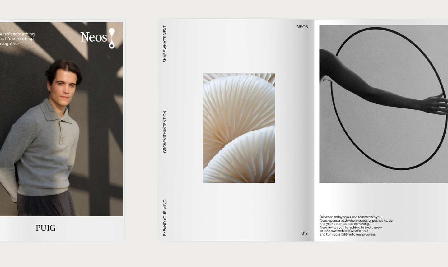 RealStories project