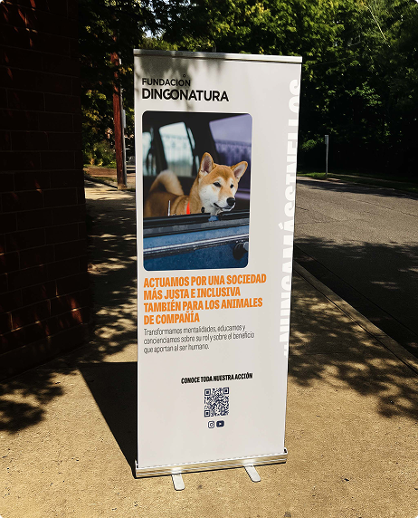 RealStories project