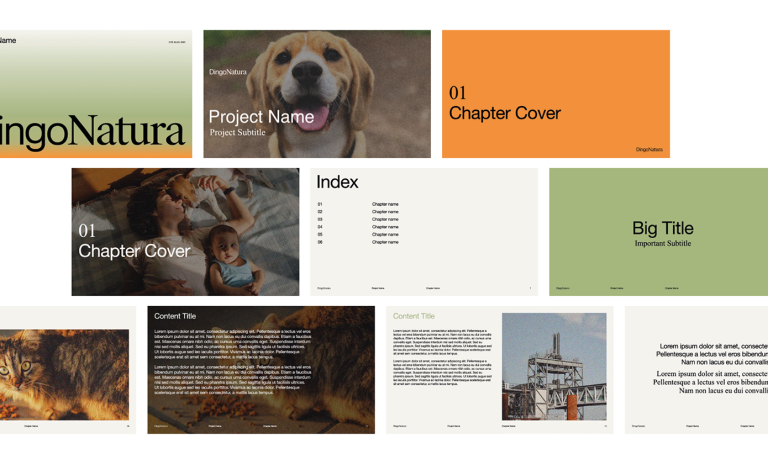 RealStories project