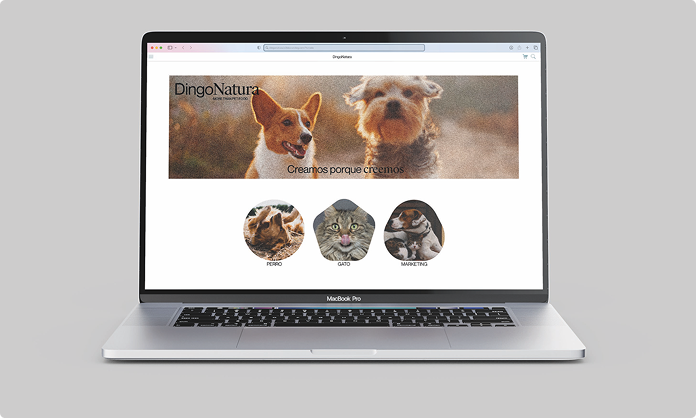 RealStories project
